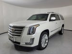 2019 Cadillac Escalade ESV Platinum